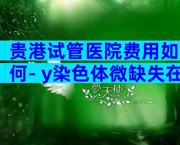 贵港试管医院费用如何- y染色体微缺失在贵港做试管成功率多少附方案流程